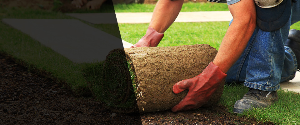 Merrillville Landscapers